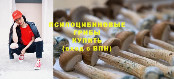 mix Абаза