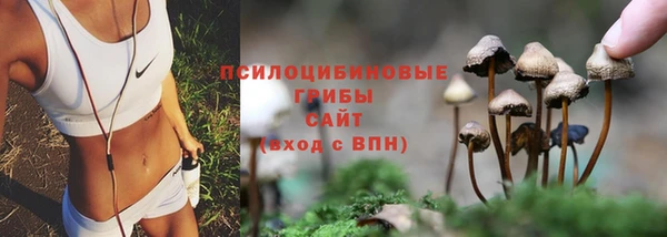 кокс Абинск