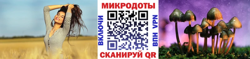 Галлюциногенные грибы мицелий  где купить   Кохма 